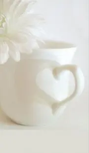 ハナミズキの画像