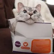 ちゃんぴー