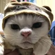 トシCoの画像