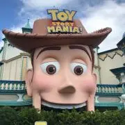 こちまの画像