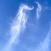 ココアの画像