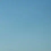 ぽむおの画像