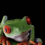 うぃるげむの画像
