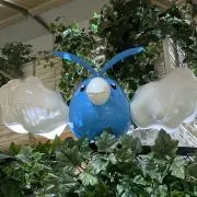 FUUの画像