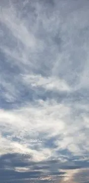 ぶんた