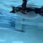 わわわ