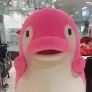 3号※最終セール※の画像