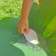 もちこ☆早めに発送しています☆の画像