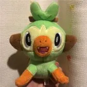 さるのりの画像