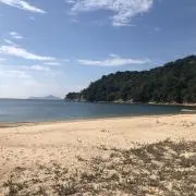 wuの画像