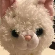 ゆか