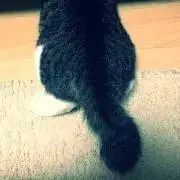 もさみ5/3〜6迄発送休みの画像