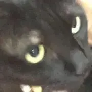 shtkbh