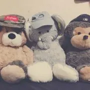 きょろᐠ( ᐛ )ᐟの画像