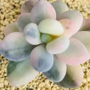 yu84★(^^)の画像