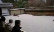 タカの画像