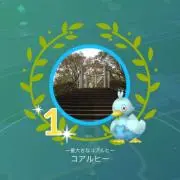 ∴べジュンタ∴の画像