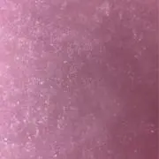 限界突破受験生