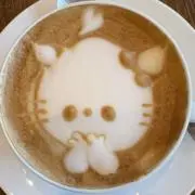 Mrs.ウォンカの画像