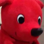 ゆみ