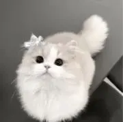 みんの画像