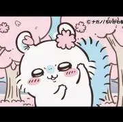 チャウチャウの画像