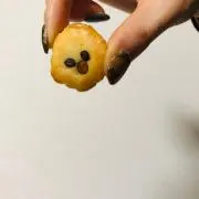 Meowの画像