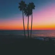FMLSの画像