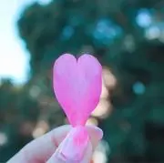SHOPth♡青木真希の画像
