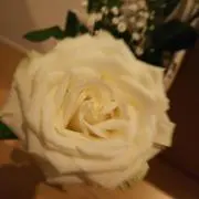 リッツ