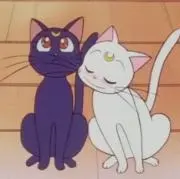 こなの画像