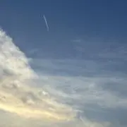 クロハの画像