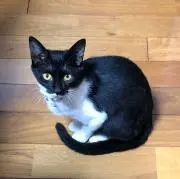 mmmの画像
