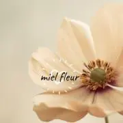 miel fleur ♡ ミエルフルールの画像