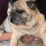 YUKIの画像
