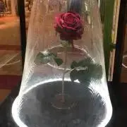 みぃちゃま プロフィール必読の画像