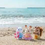 Nの画像