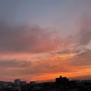 とうかの画像