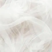 yの画像