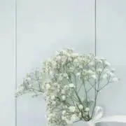 ayunaの画像