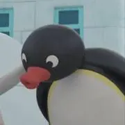 かじゅまの画像
