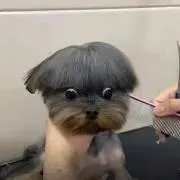 chami9876の画像