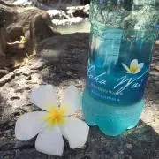hanaの画像