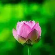 koaaiai☆プロフ必読☆