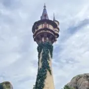 IMTSHの画像