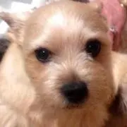 もっさん