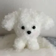 kijiの画像