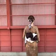 arの画像
