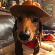 ヒロの画像