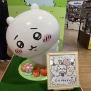 Lilyの画像
